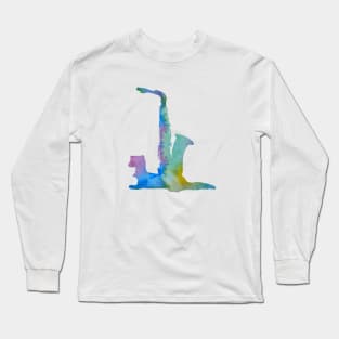 Ferret art Long Sleeve T-Shirt